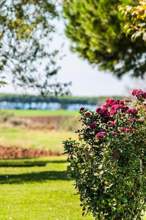 Podere Del Gesso Tarquinia Ngoại thất bức ảnh